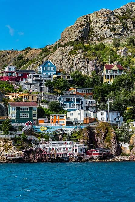 DSC_4278 newfoundland.jpg